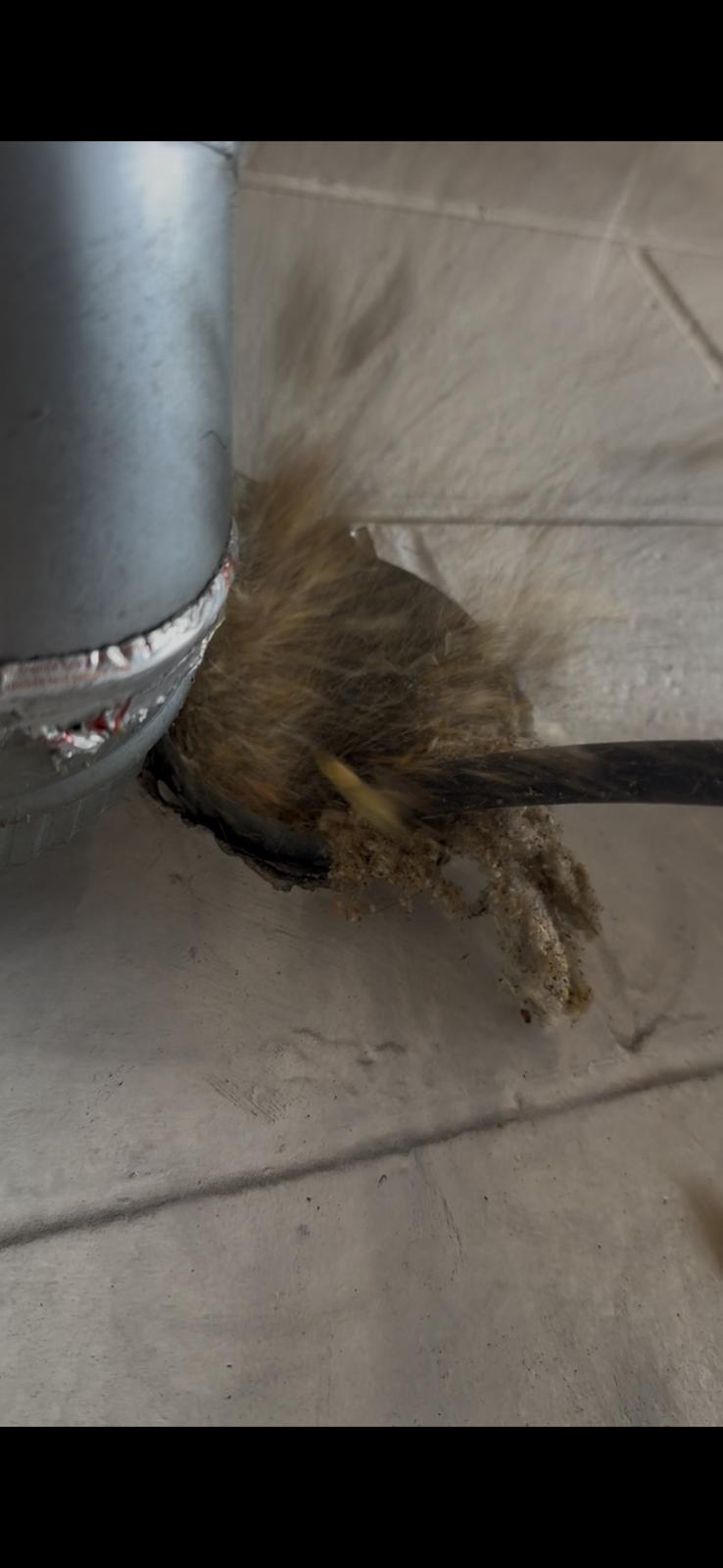 Dryer vent cleaning before